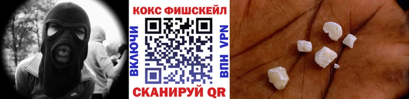 COCAIN FishScale  сколько стоит  Гдов 