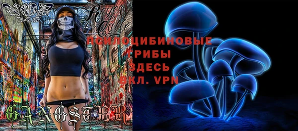 apvp Кодинск