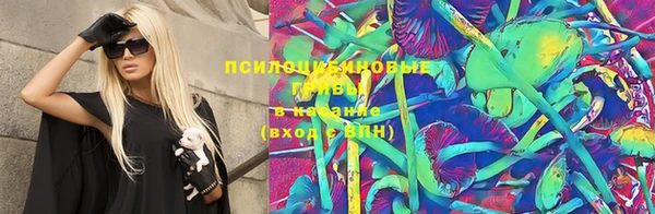 apvp Кодинск