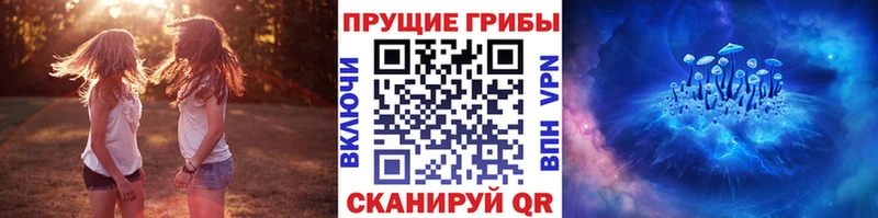 hydra вход  где продают наркотики  Гдов  Псилоцибиновые грибы мицелий 